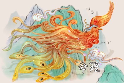 测命盘|占星命盘详解|流年命盘排盘|流年命盘查询|排紫微斗数盘